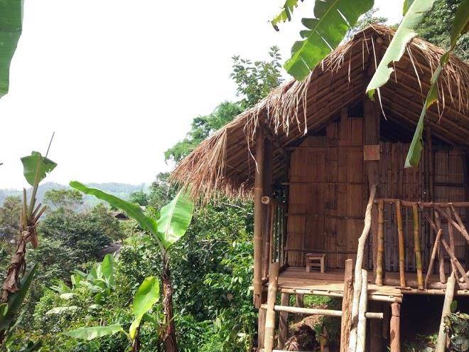 Lahu jungle resort