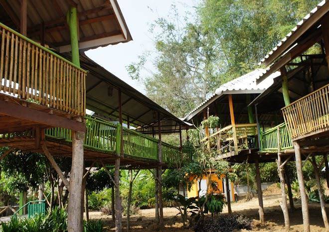 Treetop country eco volunteer foundation