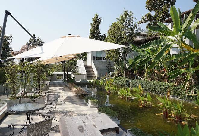 Tanya Baan Bon Doi Image