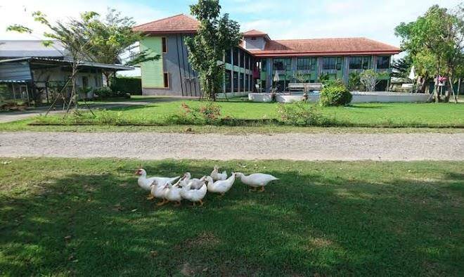 Madoony resort