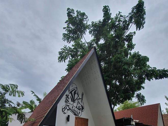 The mug resort
