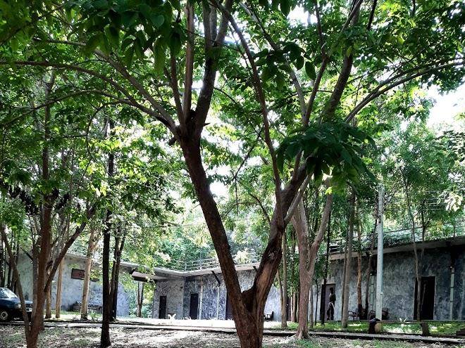 Baan rak mai