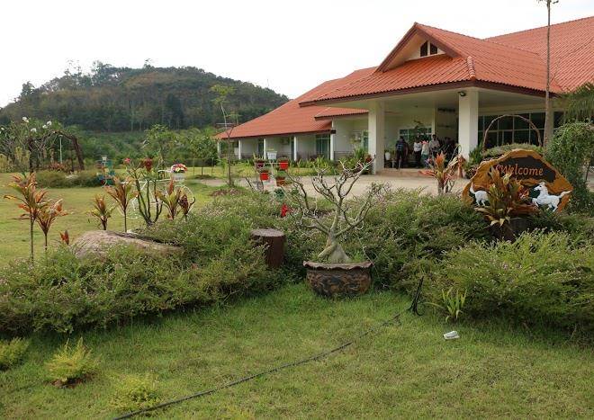 Kantika resort