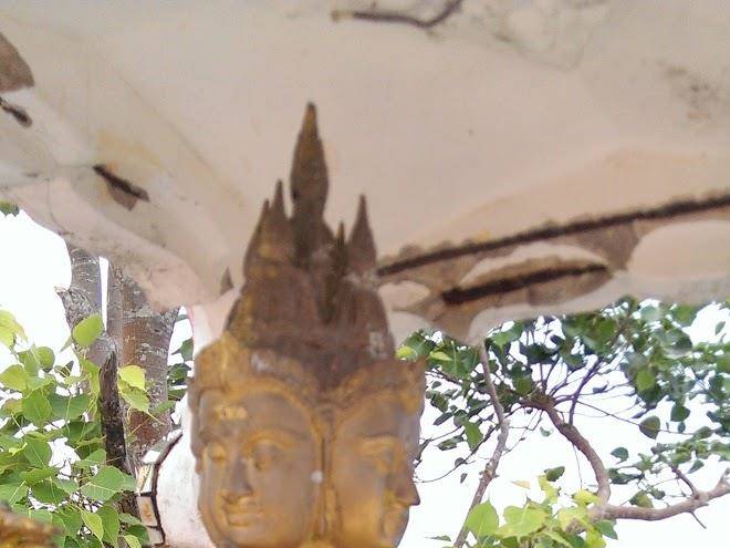 The Rich Sotel Image