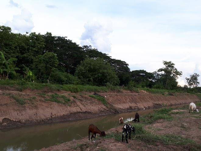 Huan Ramon&resort Image