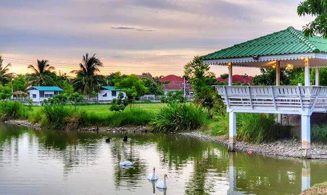 Pangluang garden