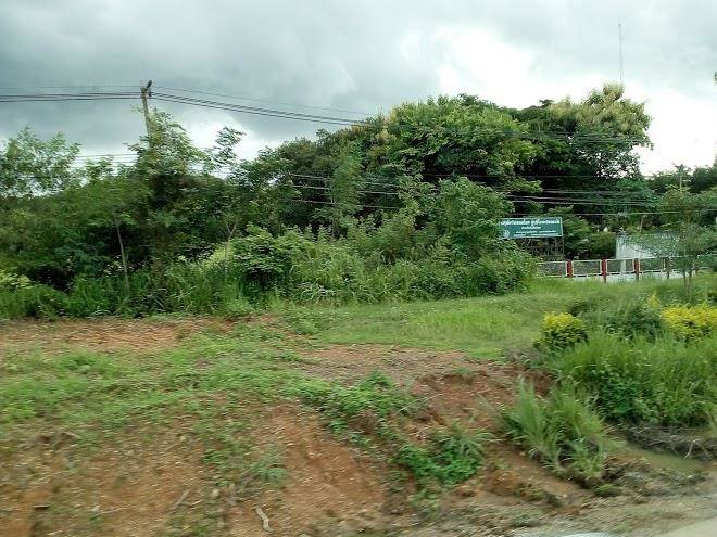 Sakul plang resort