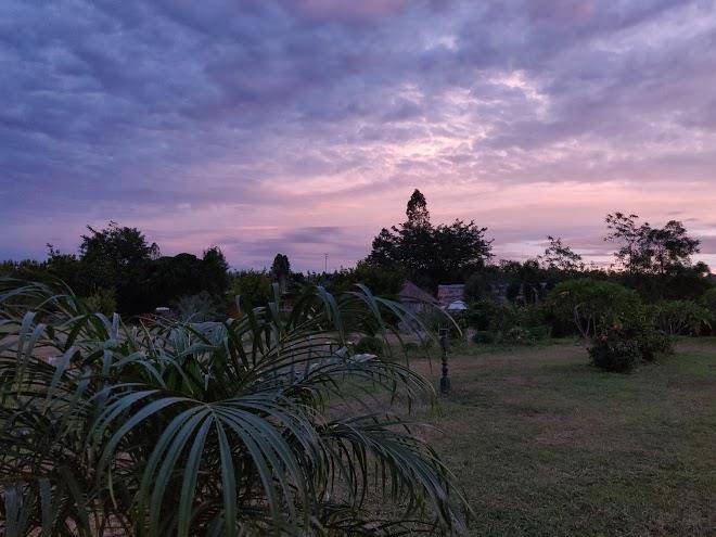Sirila farm
