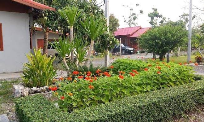 Rueanrerm tong nueng resort