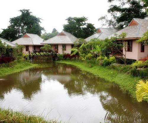 Pai herbs resort