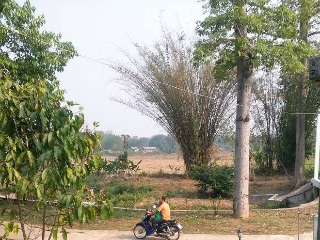 Pai Thara Resort Image