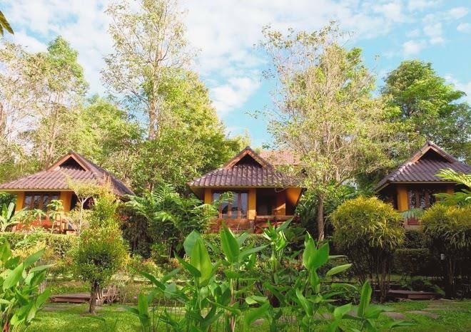 Pura vida resort pai