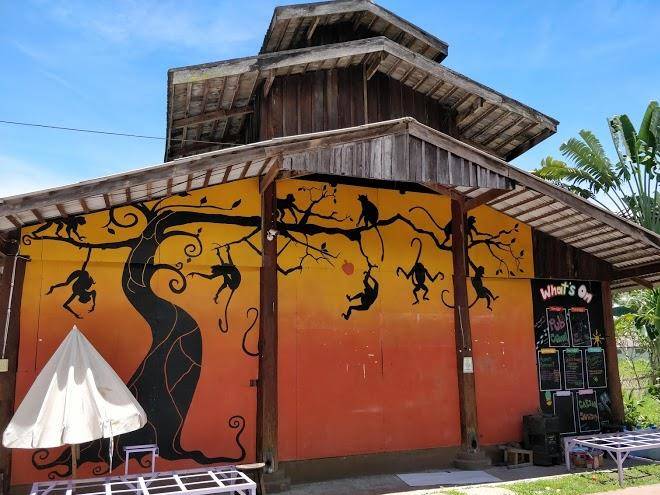 Purple monkey backpackers