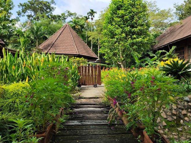 Baan banana resort