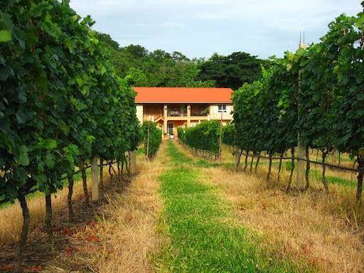 Granmonte vineyard and winery