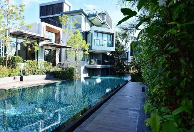 Green pix khao yai