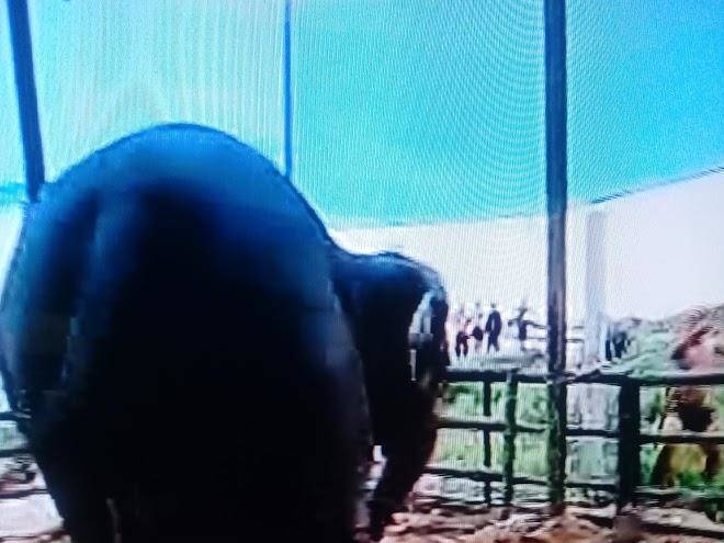 Sabaisabaipakchong Image