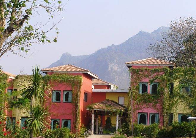 The bloom khao yai