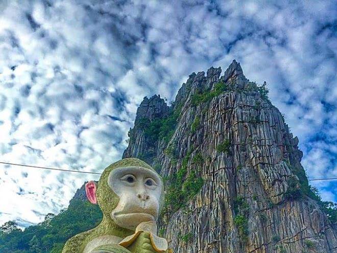 Monkey resort