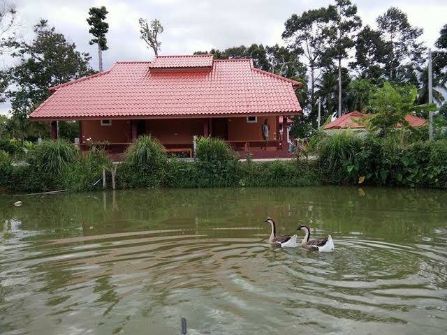 Phuengluang resort