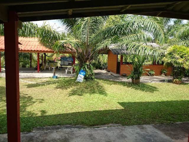 Coconut valley
