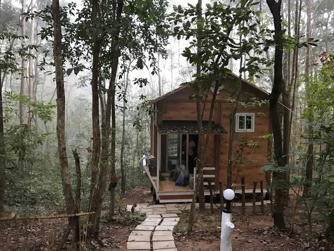 Forest park resort
