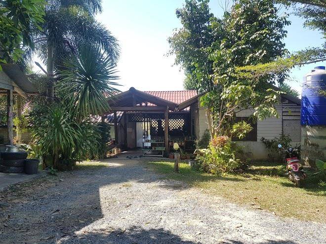 Paina resort
