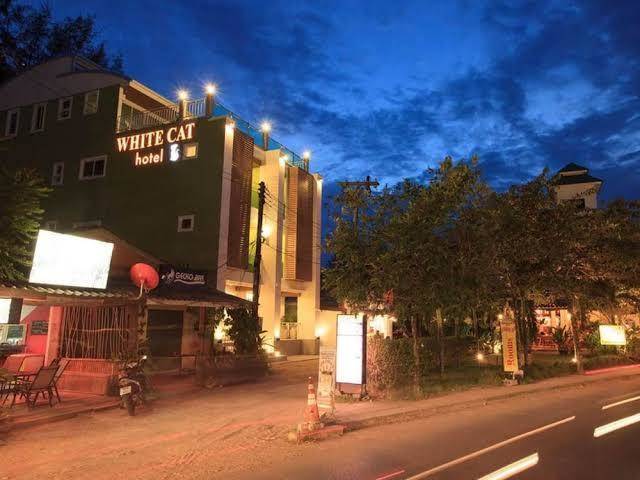 White cat hotel