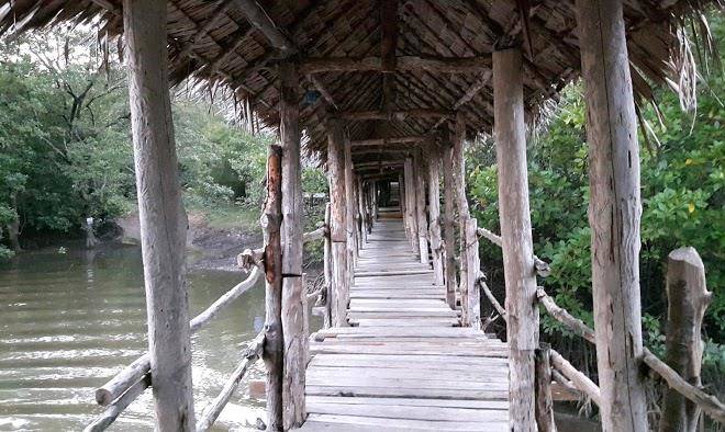 Baan suen jungle lodge phang nga