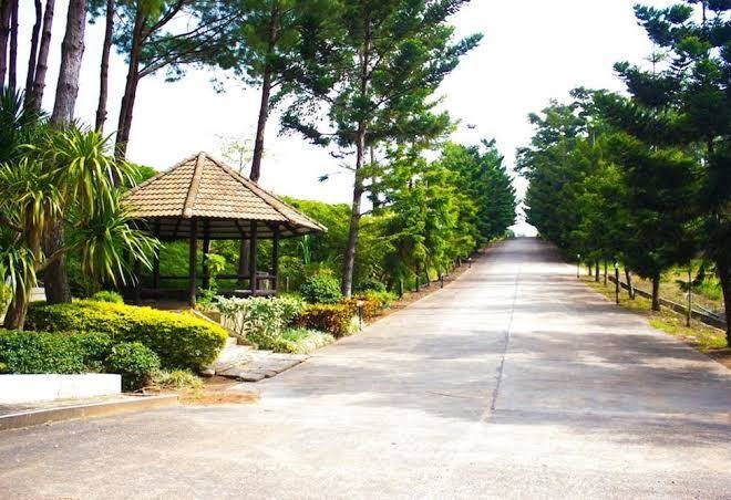 Bird land resort