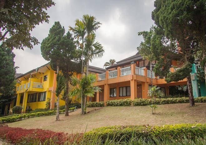 Forest hills resort 1