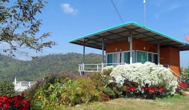Khao kho tree top