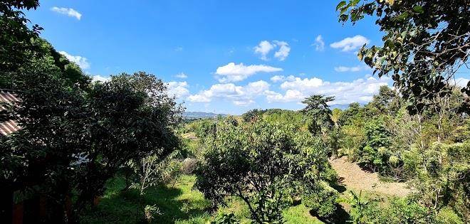Khao kho terrace hill resort