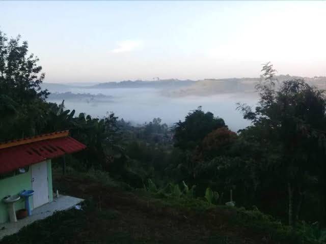 Pooarbdao 2