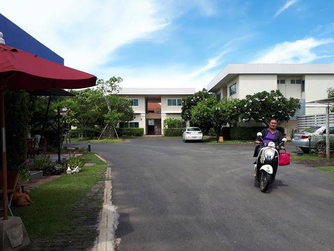 Orchid press hotel