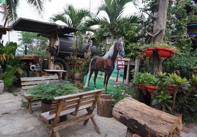 Young ma homestay