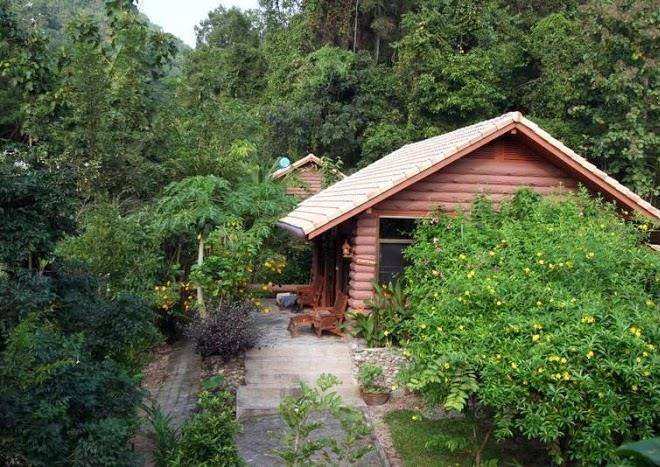 Punjen Hide Away Lt Image