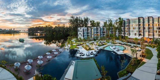 Cassia phuket