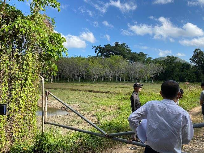 Tubtimtong Boutique Image