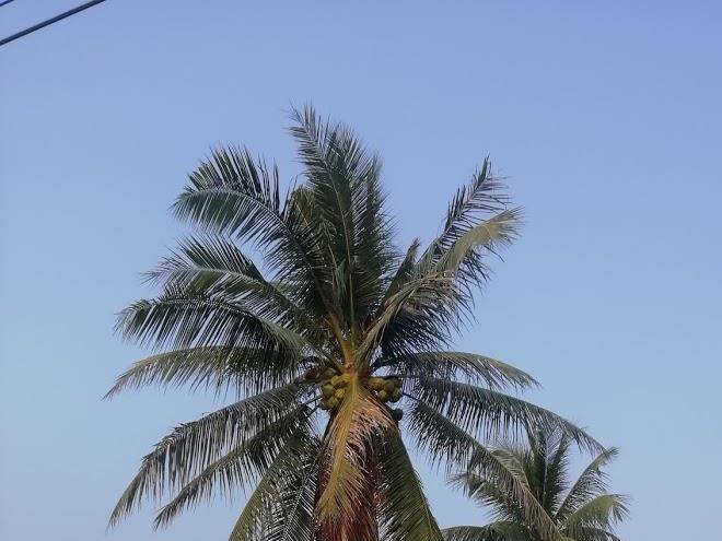 Banito beach resort