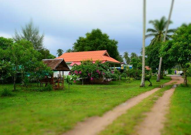 Wandee resort bankrut