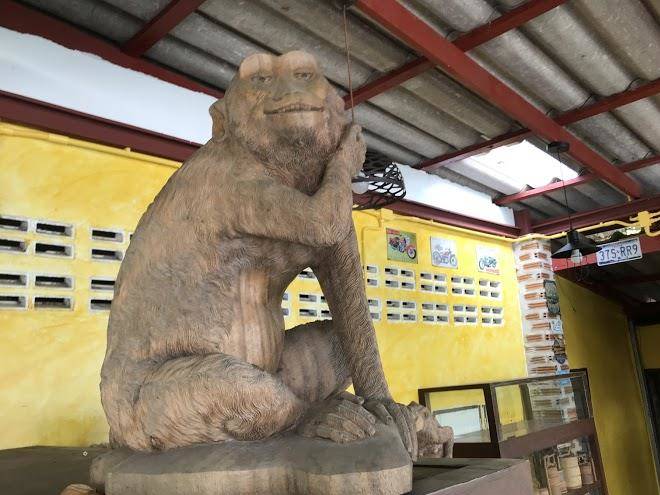 The monkey resort donheang
