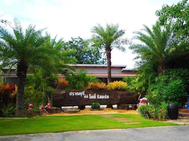Cozy resort