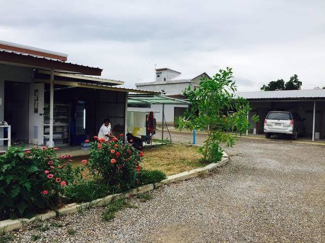 Mulberry resort