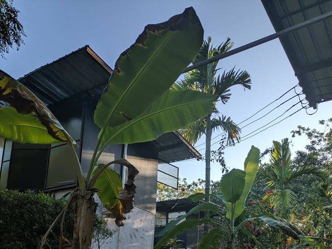 Himmapan resort