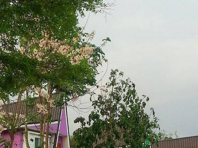 Ingmok resort