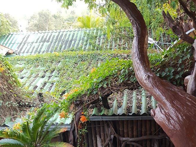 Sasi country resort