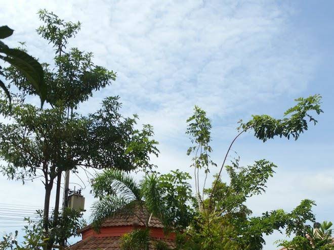 Hotel kebtawan