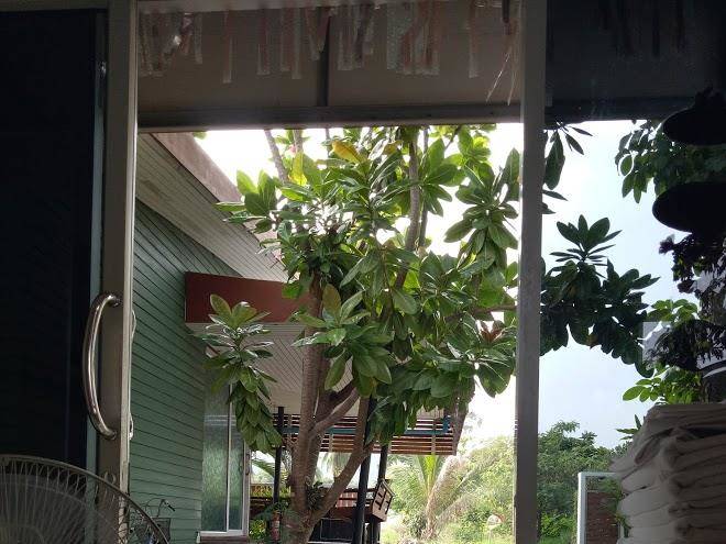 Halabala resort