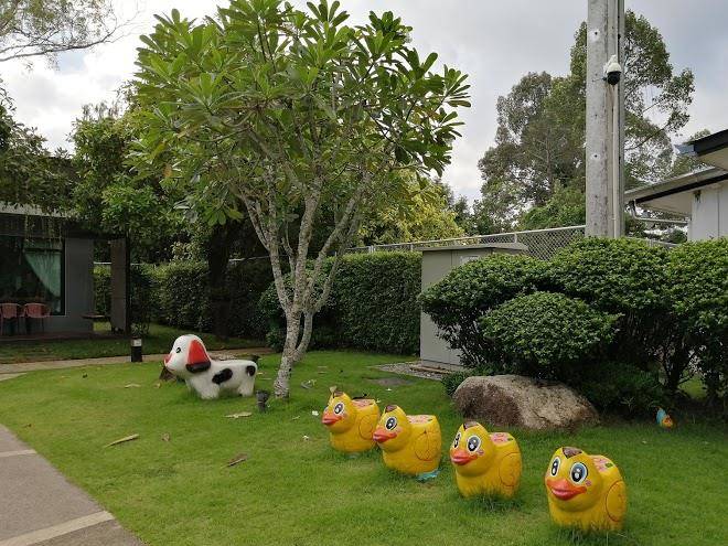 Moseng beach resort